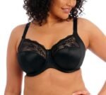 Elomi Morgan Underwire Women's Elastic Lace Bra Full Coverage Bra (Pack of 1)